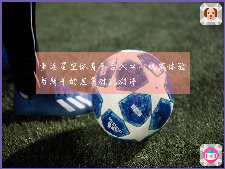 重返星空体育平台入口，玩家体验与新手的差异对比测评